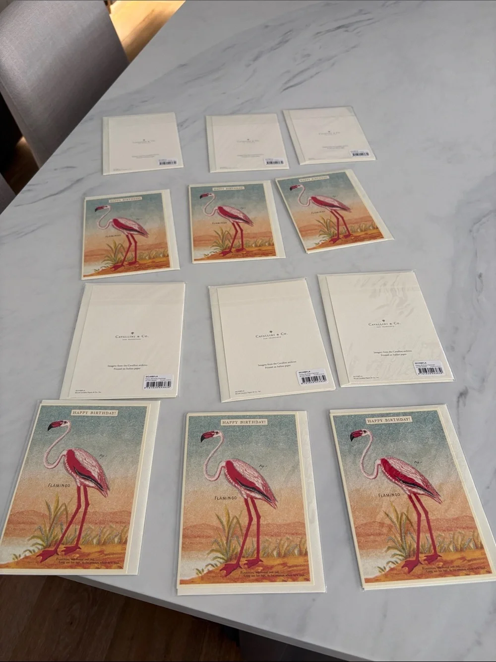 Cavallini & Co - San Francisco- Flamingo Birthday Greeting Cards - Pack of 12